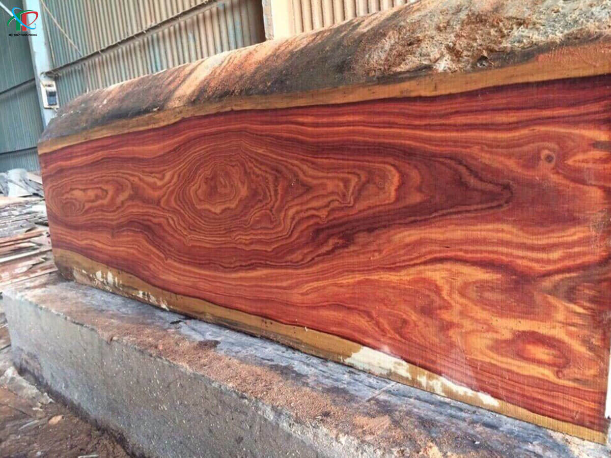 go-cam-trong-thiet-ke-noi-that