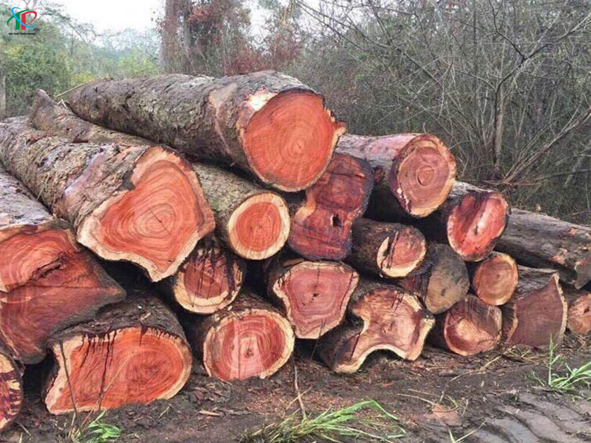 go-giang-huong-trong-thiet-ke-noi-that