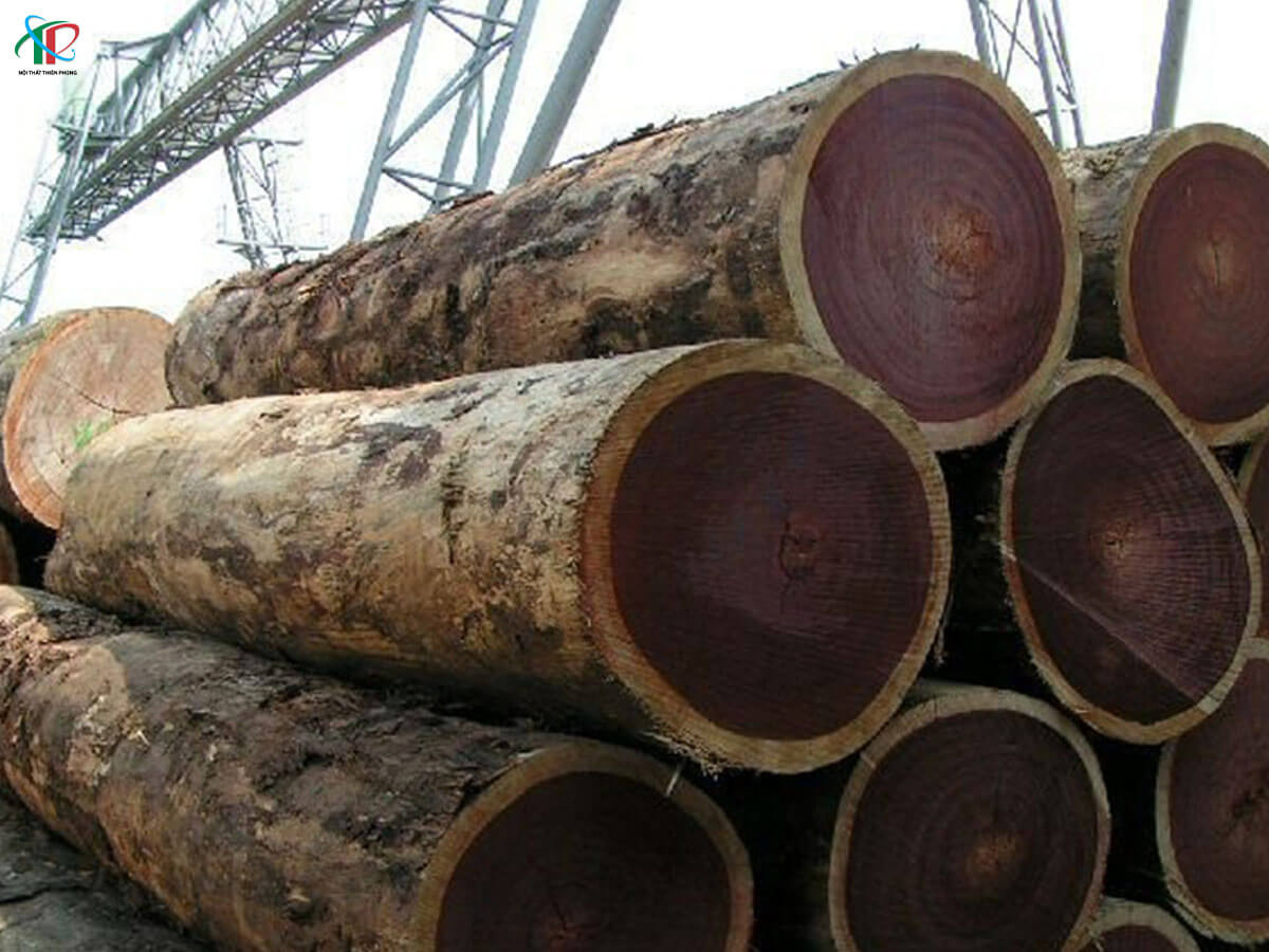 go-lim-trong-thiet-ke-noi-that