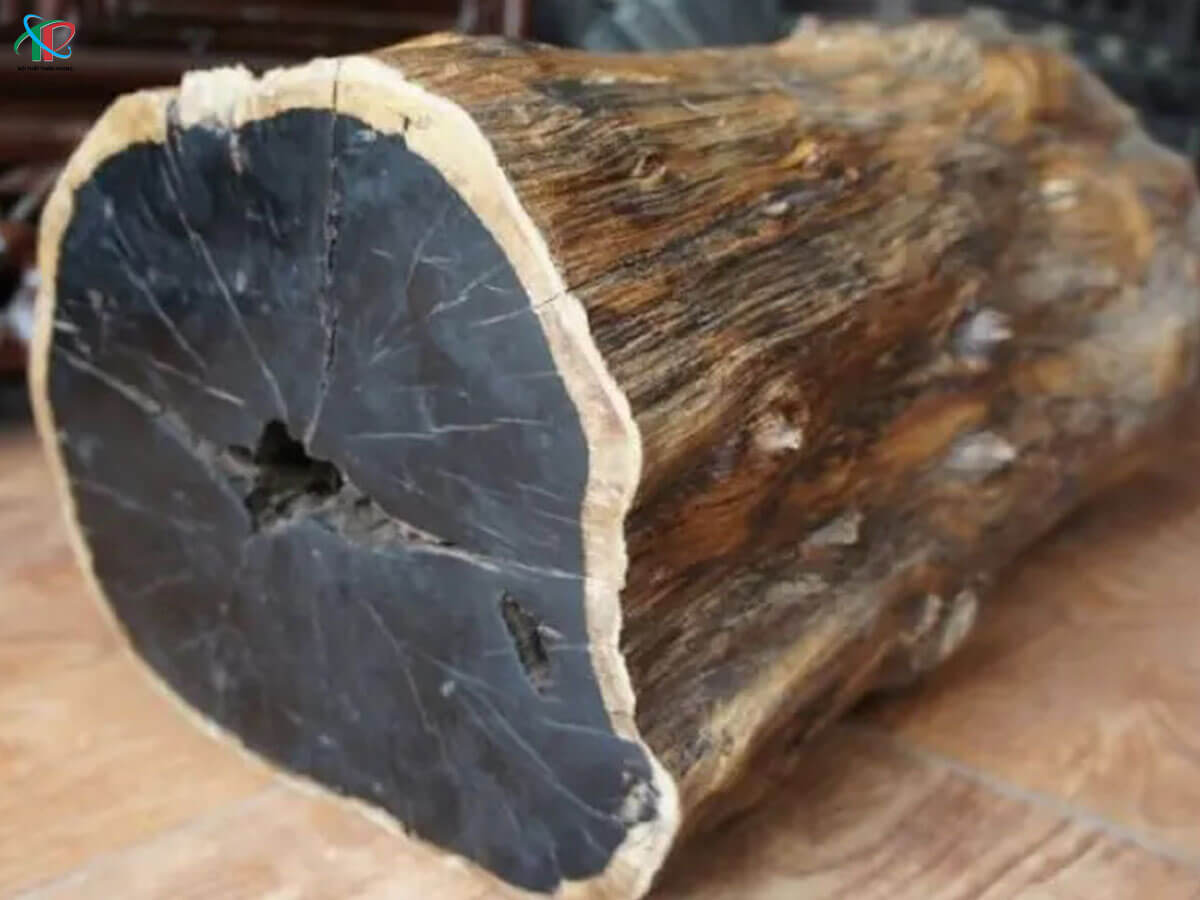 go-mun-trong-thiet-ke-noi-that