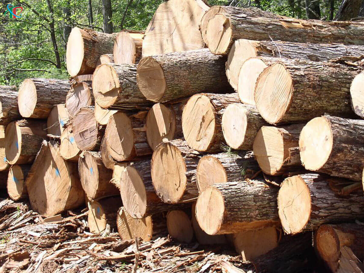 go-thong-trong-thiet-ke-noi-that