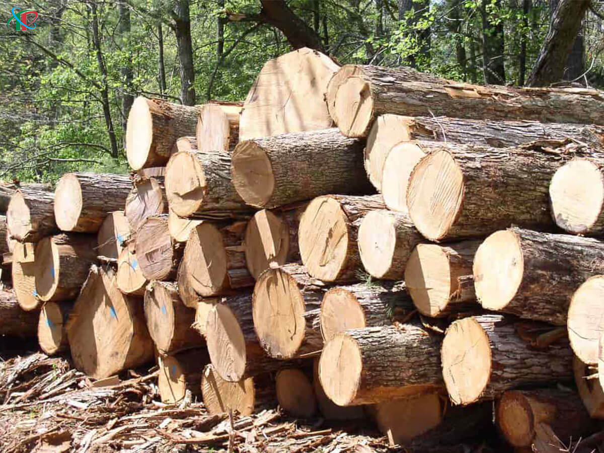 go-tu-nhien-trong-thiet-ke-noi-that